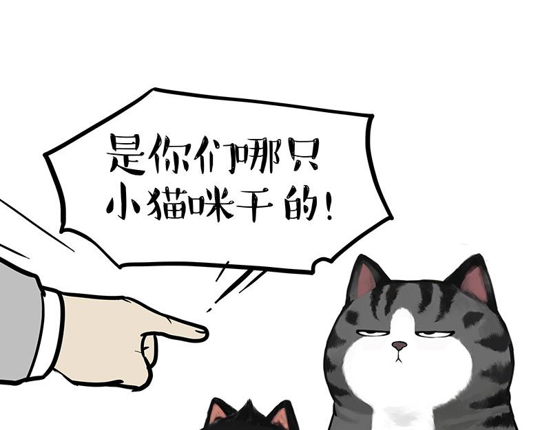 🍘吾皇巴扎黑 第380话 登峰造极 第17页