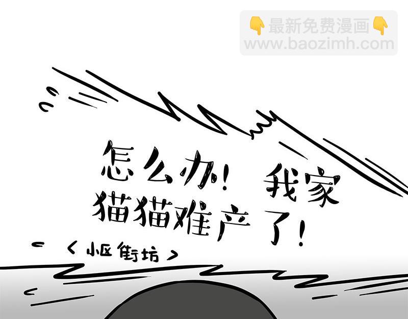 🍘吾皇巴扎黑 第380话 登峰造极 第32页