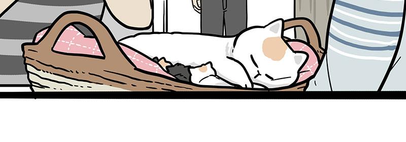 🍘吾皇巴扎黑 第380话 登峰造极 第36页