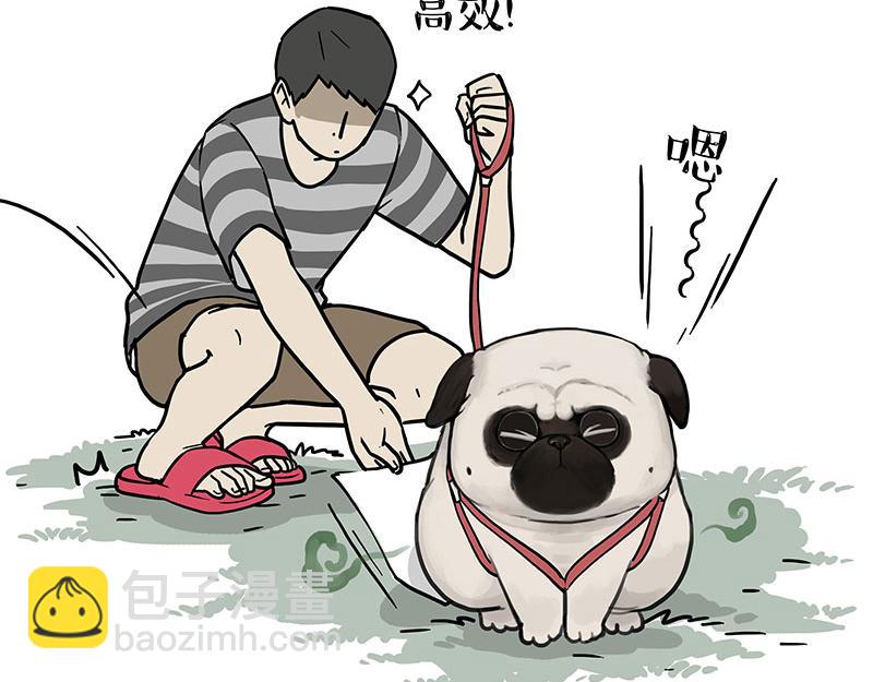 🍘吾皇巴扎黑 第380话 登峰造极 第7页
