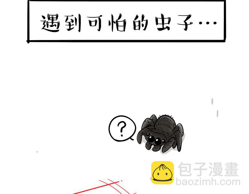 🍘吾皇巴扎黑 第384话 猫猫代打 第13页