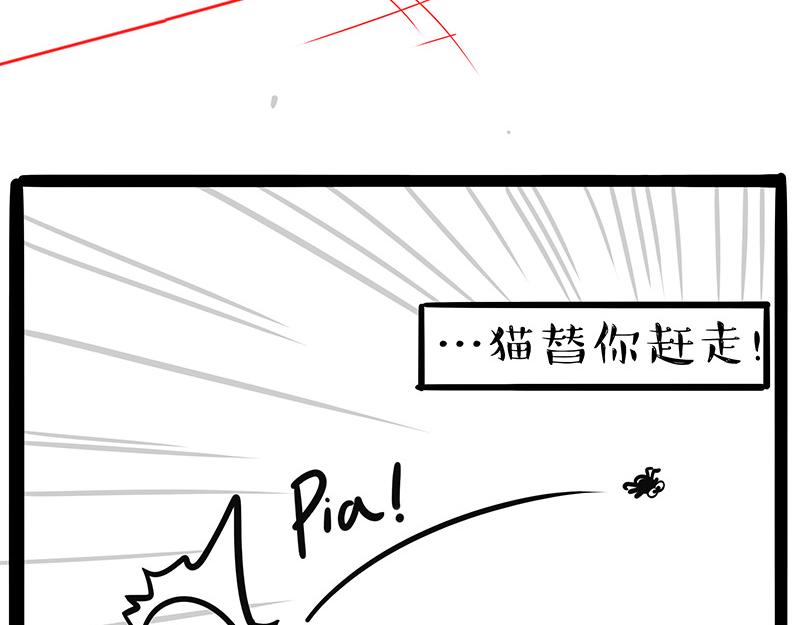 🍘吾皇巴扎黑 第384话 猫猫代打 第14页