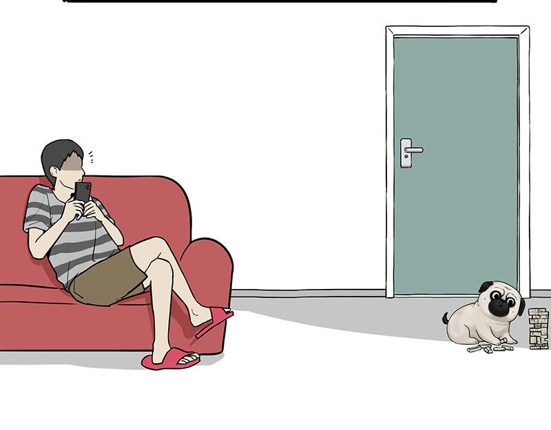 🍘吾皇巴扎黑 第384话 猫猫代打 第21页