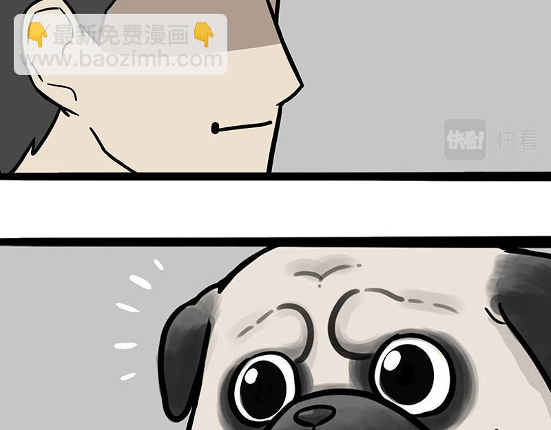 🍘吾皇巴扎黑 第384话 猫猫代打 第24页