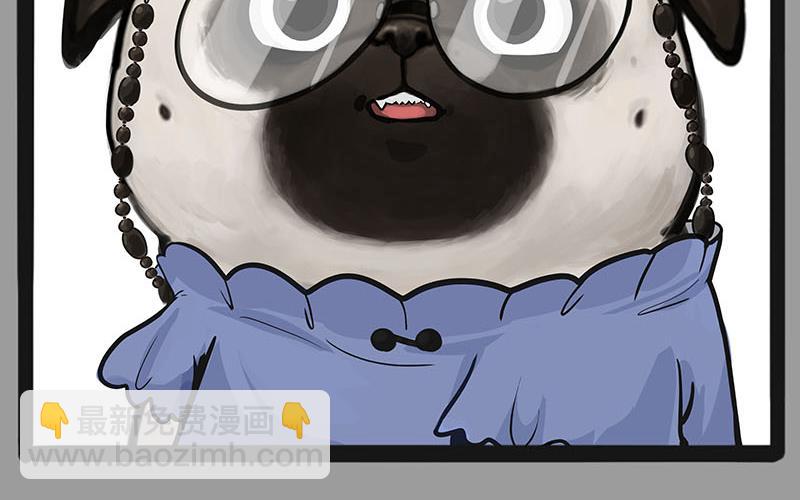 🍘吾皇巴扎黑 第384话 猫猫代打 第5页