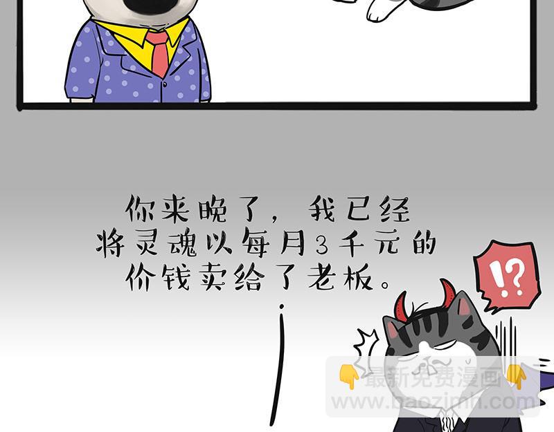 🍘吾皇巴扎黑 第384话 猫猫代打 第7页