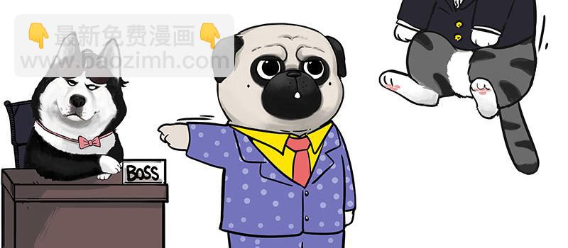 🍘吾皇巴扎黑 第384话 猫猫代打 第8页