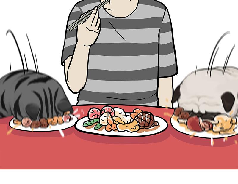 🍘吾皇巴扎黑 第386话 等菜专业户 第14页