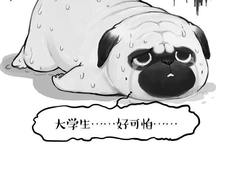 🍘吾皇巴扎黑 第388话 不走寻常路！ 第23页