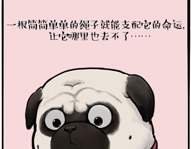 🍘吾皇巴扎黑 第390话 真没P图 第23页