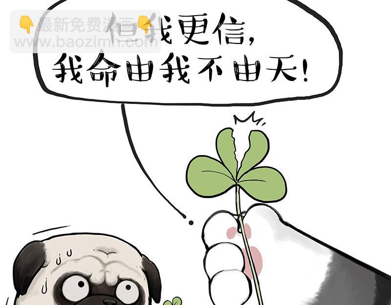 🍘吾皇巴扎黑 第390话 真没P图 第30页