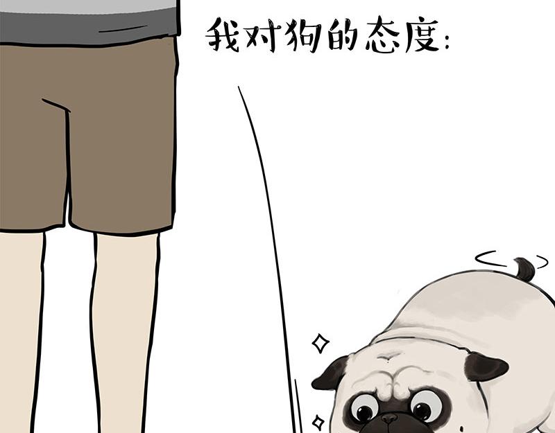 🍘吾皇巴扎黑 第394话 养狗指南 第31页