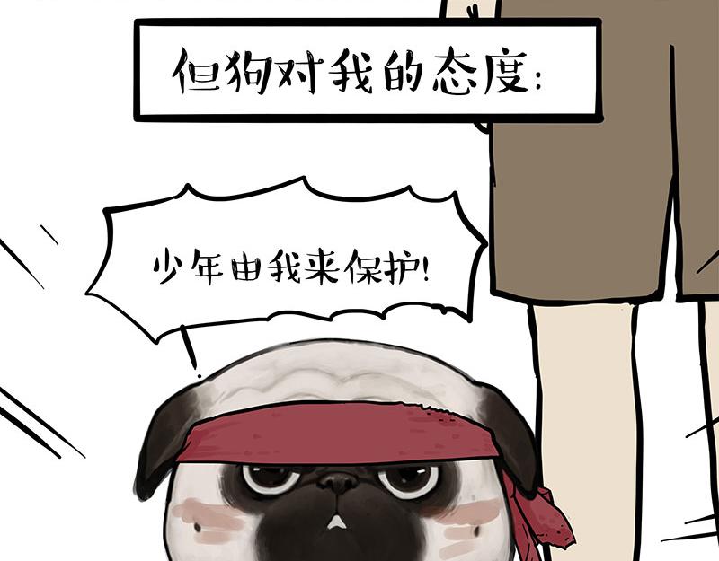 🍘吾皇巴扎黑 第394话 养狗指南 第33页