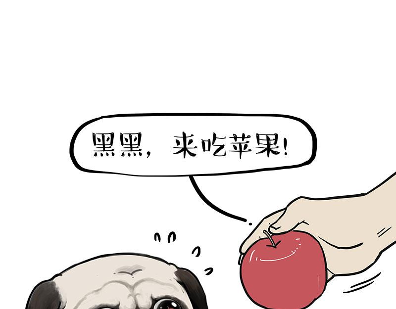 🍘吾皇巴扎黑 第394话 养狗指南 第6页