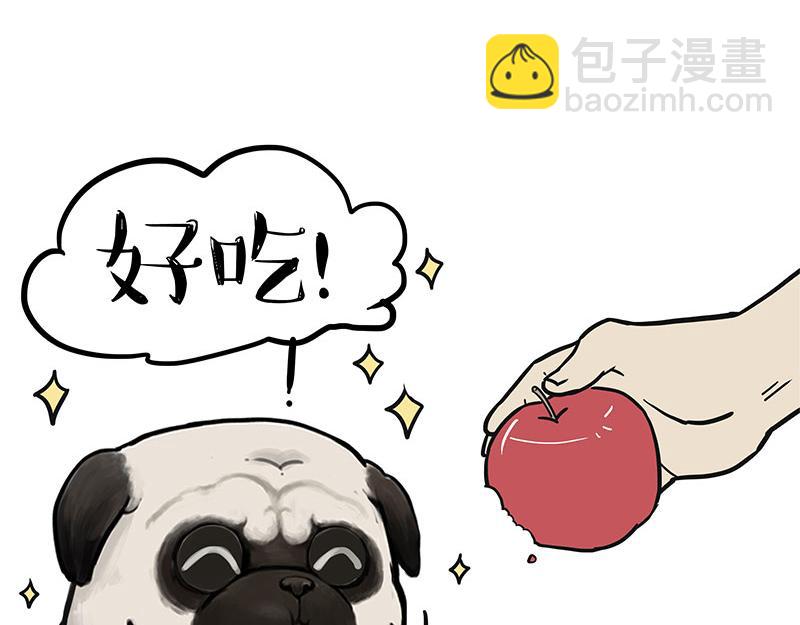 🍘吾皇巴扎黑 第394话 养狗指南 第8页