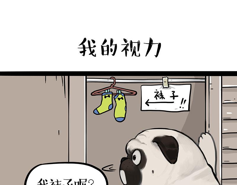 🍘吾皇巴扎黑 第396话 开盲盒 第15页