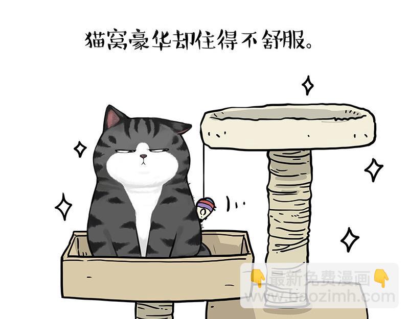 🍘吾皇巴扎黑 第398话 相爱相“坑” 第8页