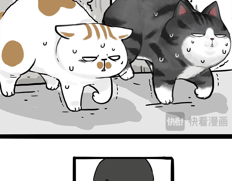 🍘吾皇巴扎黑 第400话 你是好人 第5页