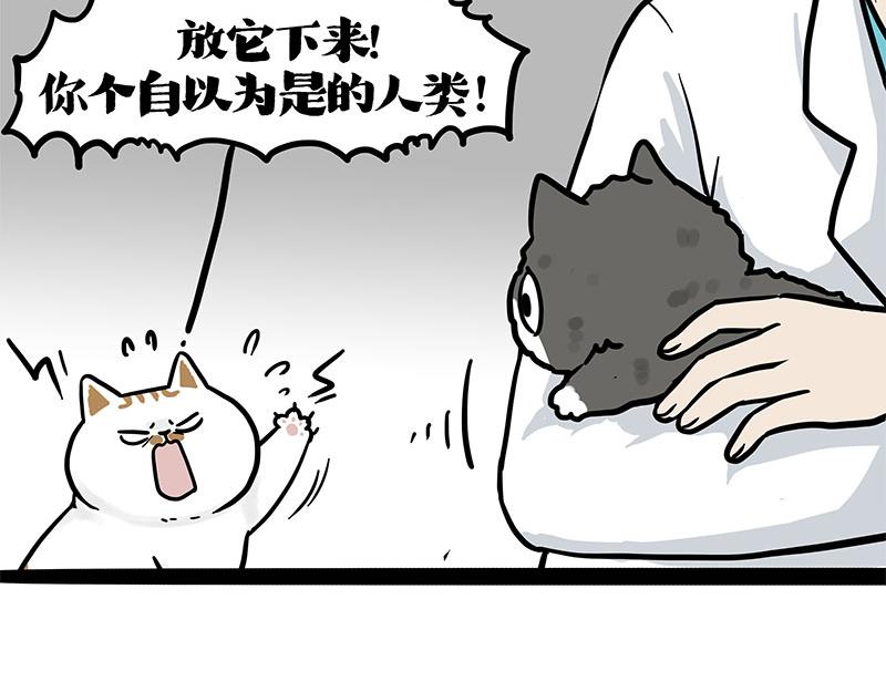 🍘吾皇巴扎黑 第402话 送走！所有！ 第16页