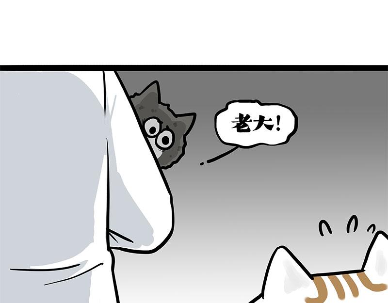 🍘吾皇巴扎黑 第402话 送走！所有！ 第19页