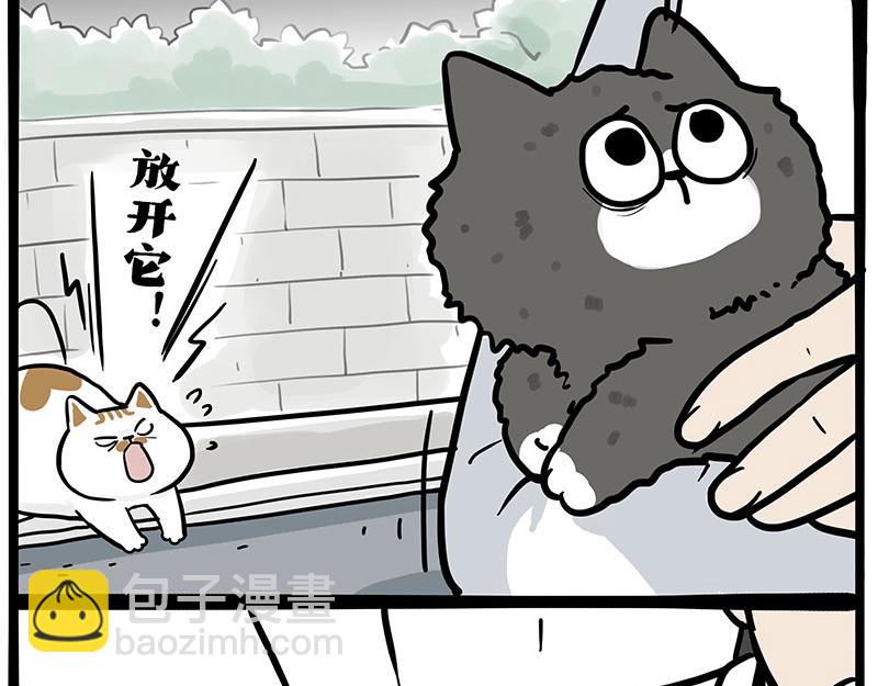 🍘吾皇巴扎黑 第402话 送走！所有！ 第21页