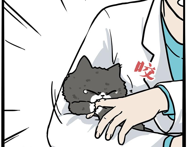 🍘吾皇巴扎黑 第402话 送走！所有！ 第22页