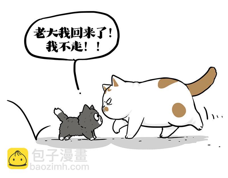 🍘吾皇巴扎黑 第402话 送走！所有！ 第25页