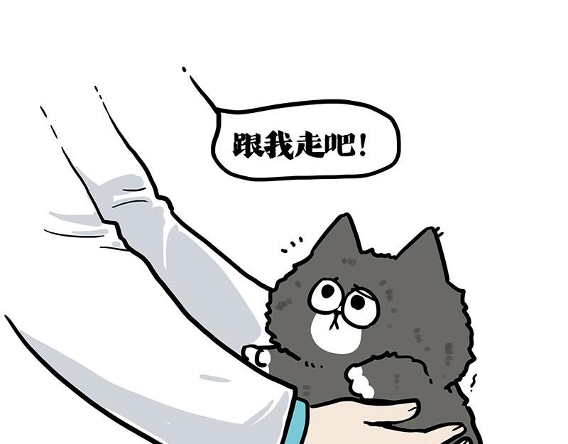 🍘吾皇巴扎黑 第402话 送走！所有！ 第5页