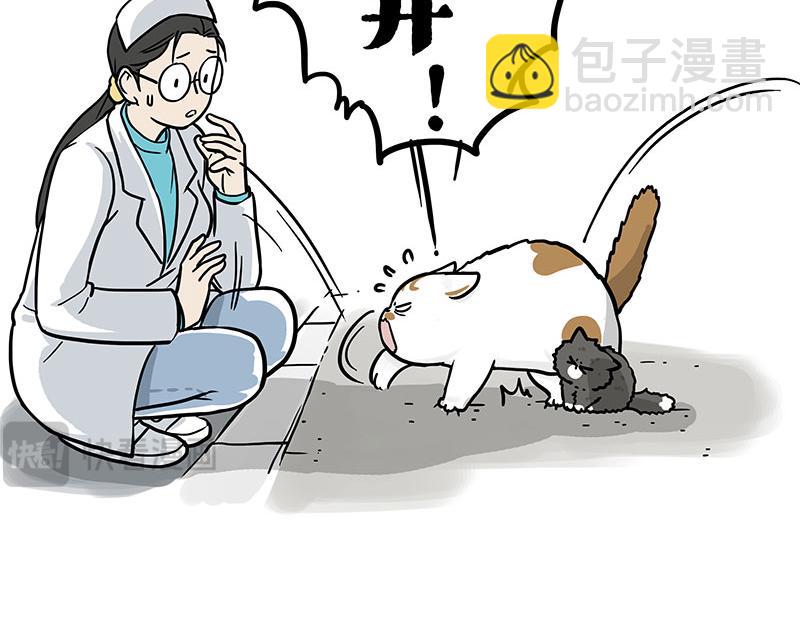 🍘吾皇巴扎黑 第402话 送走！所有！ 第7页