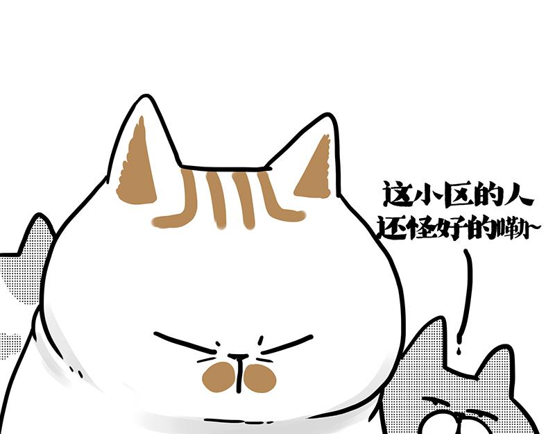 🍘吾皇巴扎黑 第406话 小狗心事（上） 第47页