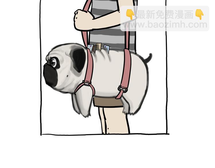 🍘吾皇巴扎黑 第42话 猫奴的“幸福” 第3页