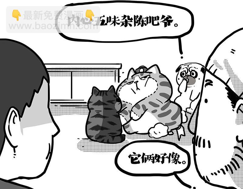 🍘吾皇巴扎黑 第408话 小狗心事（下） 第19页