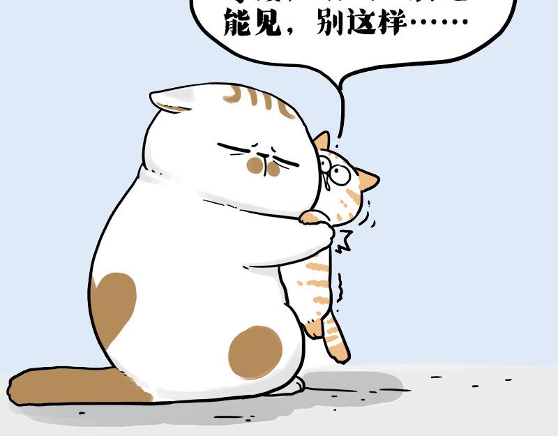 🍘吾皇巴扎黑 第410话 感情线大进展 第15页