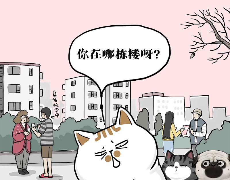 🍘吾皇巴扎黑 第410话 感情线大进展 第17页