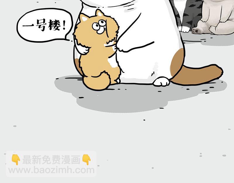 🍘吾皇巴扎黑 第410话 感情线大进展 第18页