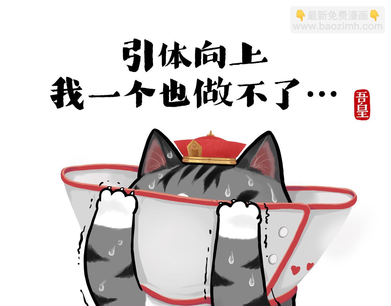🍘吾皇巴扎黑 第416话 进圈 第13页
