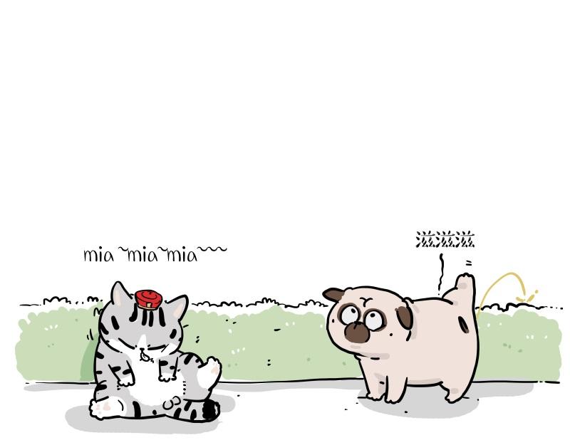 🍘吾皇巴扎黑 第424话 话痨小猫 第1页