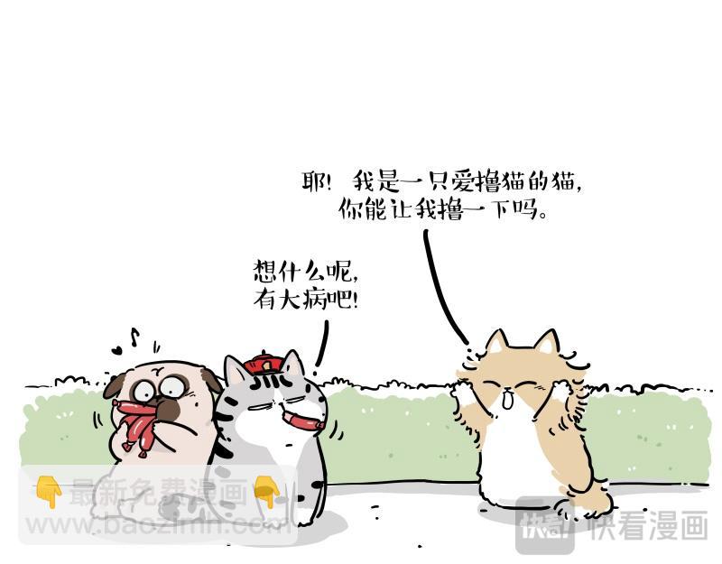 🍘吾皇巴扎黑 第424话 话痨小猫 第13页