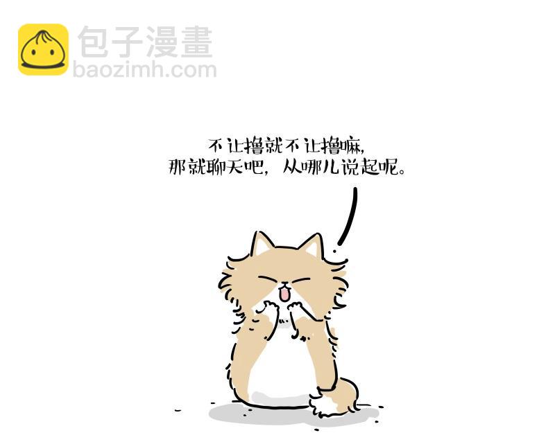 🍘吾皇巴扎黑 第424话 话痨小猫 第15页