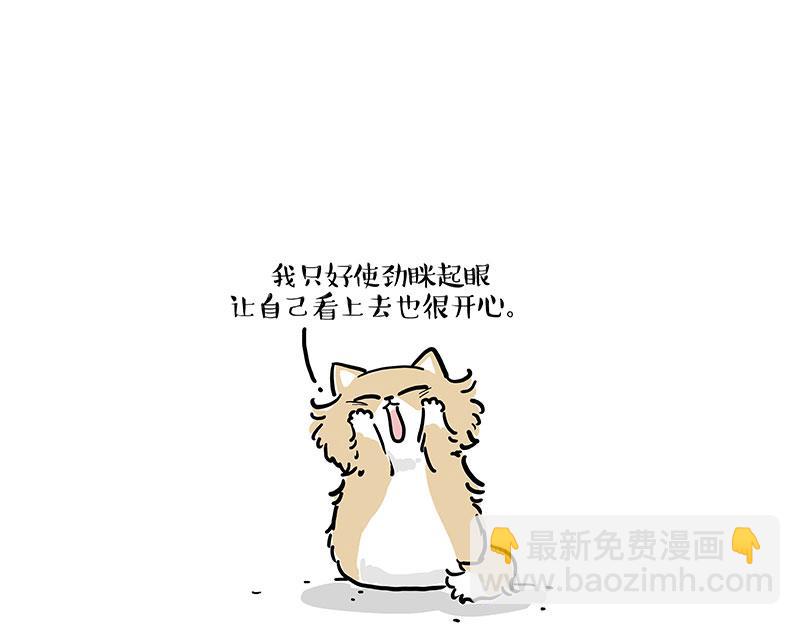 🍘吾皇巴扎黑 第424话 话痨小猫 第19页