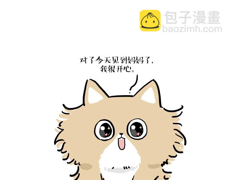 🍘吾皇巴扎黑 第424话 话痨小猫 第27页