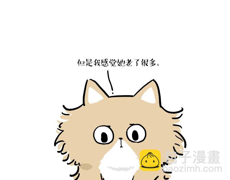 🍘吾皇巴扎黑 第424话 话痨小猫 第29页