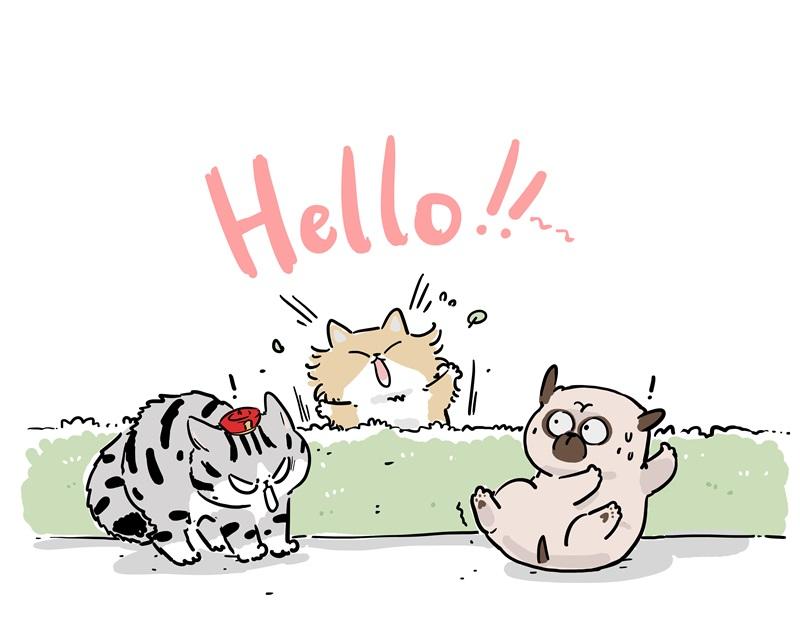 🍘吾皇巴扎黑 第424话 话痨小猫 第3页