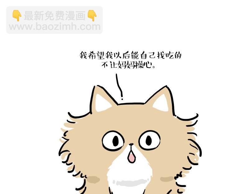 🍘吾皇巴扎黑 第424话 话痨小猫 第31页