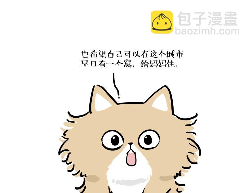 🍘吾皇巴扎黑 第424话 话痨小猫 第33页