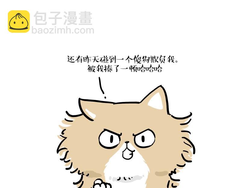 🍘吾皇巴扎黑 第424话 话痨小猫 第35页