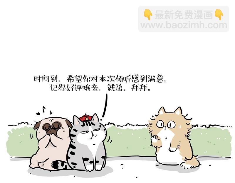 🍘吾皇巴扎黑 第424话 话痨小猫 第37页