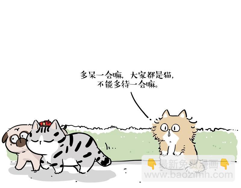 🍘吾皇巴扎黑 第424话 话痨小猫 第39页
