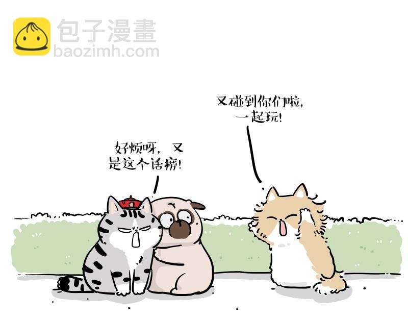 🍘吾皇巴扎黑 第424话 话痨小猫 第5页