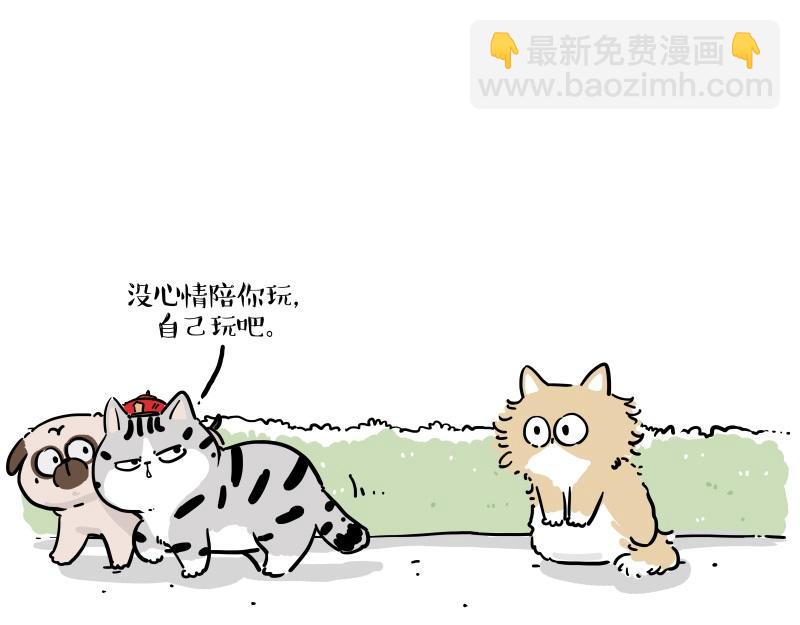 🍘吾皇巴扎黑 第424话 话痨小猫 第7页